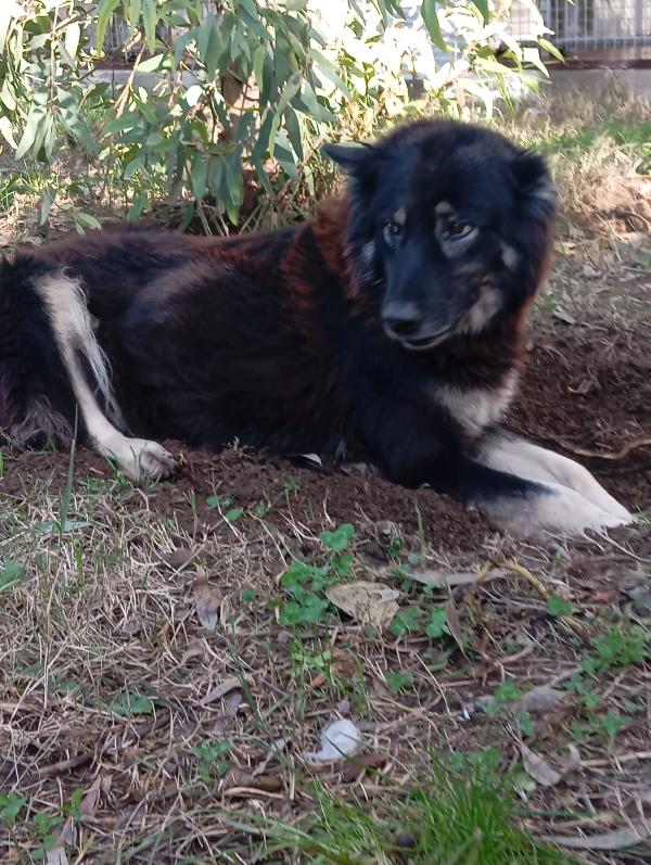 Nadia, taglia media!  Foto 3