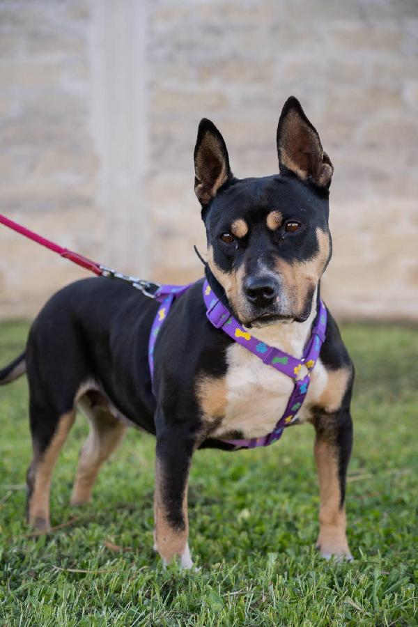 Romana, ha bisogno della sua possibilità.  Foto 2