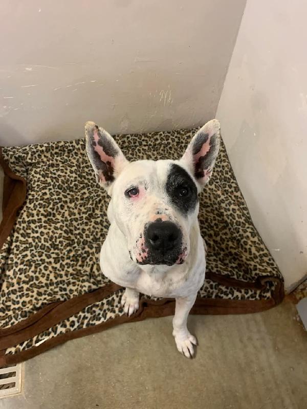 Magda, per te non smetteremo mai di tentare! Foto 2