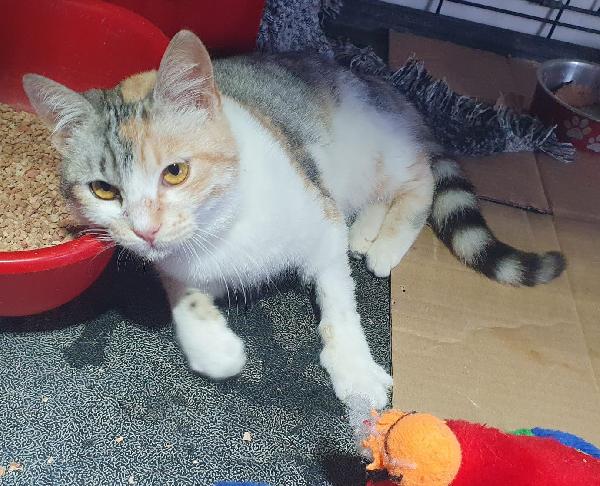 GUENDA, 5 mesi Foto 2