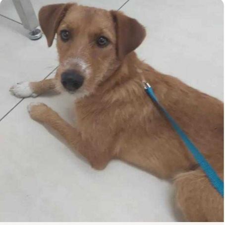 Lea Quasi 11Mesi Kg11 Salita A Padova 