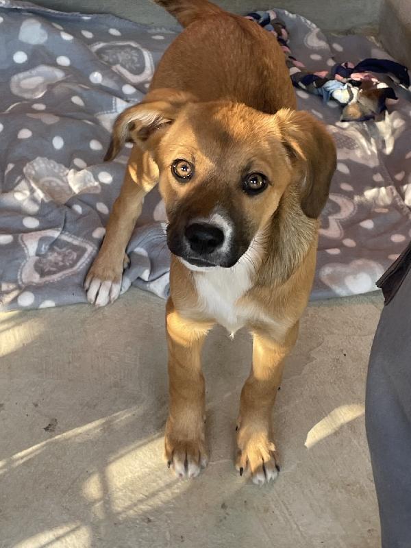 Agata e Nestor Foto 2