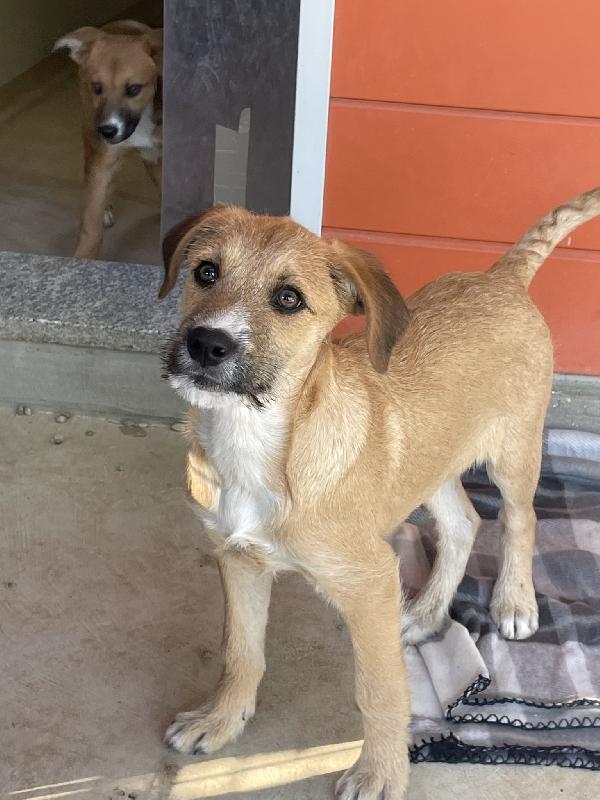 Agata e Nestor Foto 3