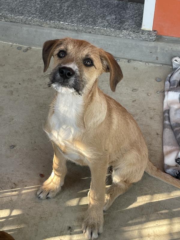 Agata e Nestor Foto 4