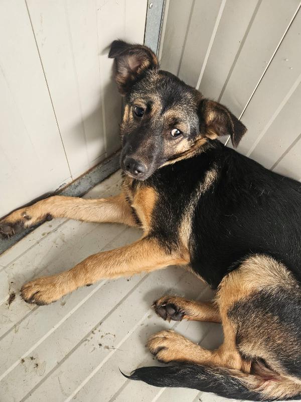 Clotilde Piccola Anima Bisognosa Cerca Famiglia 