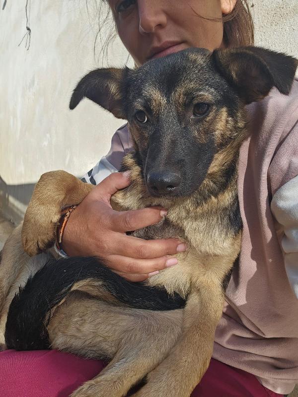 Clotilde piccola anima bisognosa cerca famiglia  Foto 5