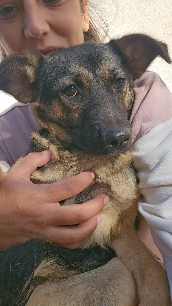 Clotilde piccola anima bisognosa cerca famiglia  Foto 6