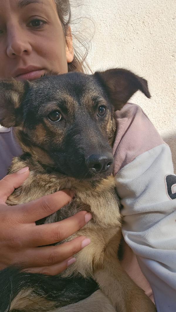 Clotilde piccola anima bisognosa cerca famiglia  Foto 8