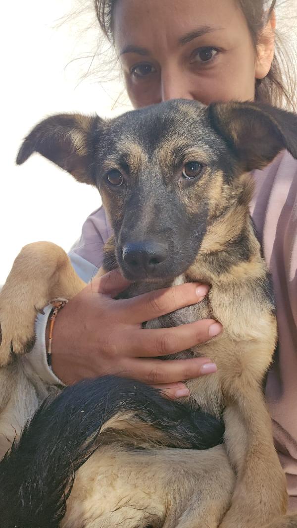 Clotilde piccola anima bisognosa cerca famiglia  Foto 9