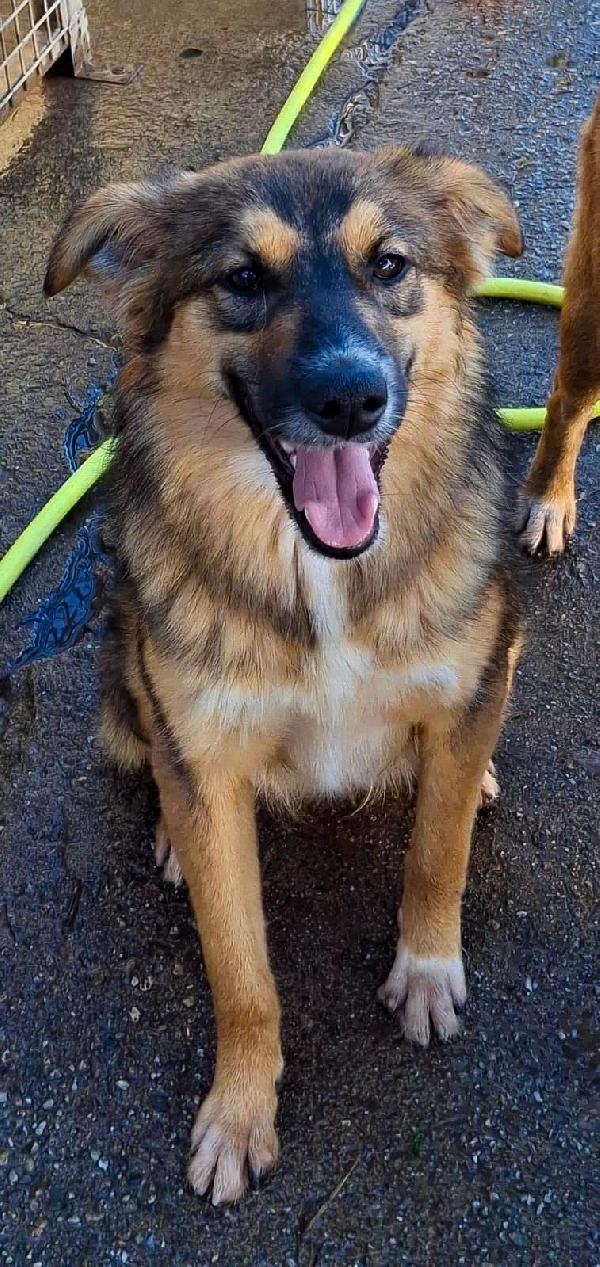 Brenda ..a Natale puoi... Foto 4