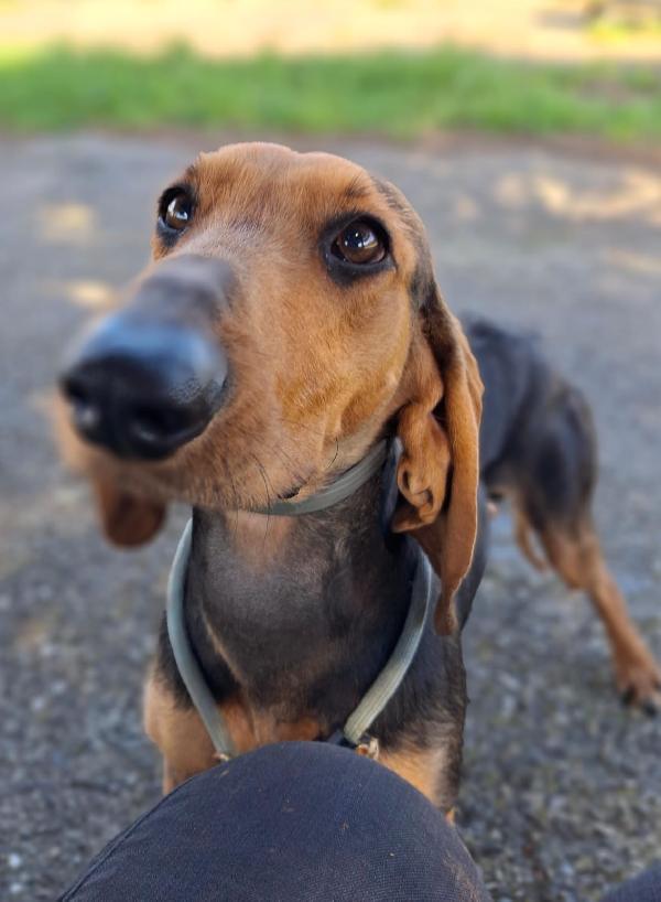 Bobo, aspetta un piccolo miracolo Foto 4