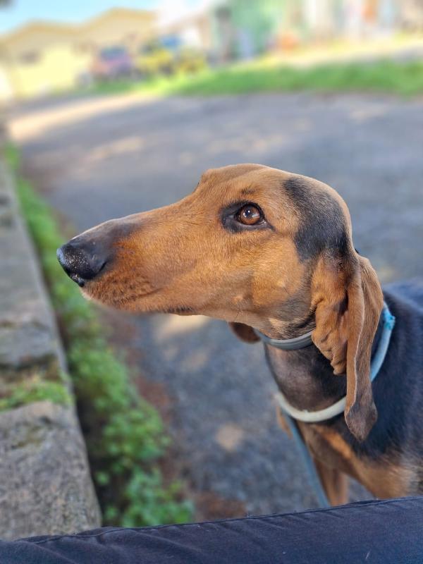 Bobo, aspetta un piccolo miracolo Foto 5