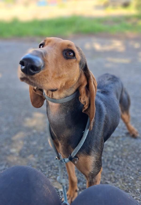 Bobo, aspetta un piccolo miracolo Foto 6