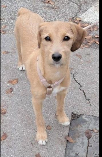 Mimì 9Mesi Tg Media Contenuta Salita In Friuli