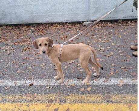 MIMÌ 9mesi tg media contenuta salita in FRIULI Foto 3