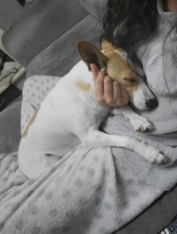 PICCOLA LILLY Foto 3