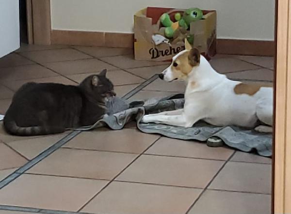 PICCOLA LILLY Foto 4