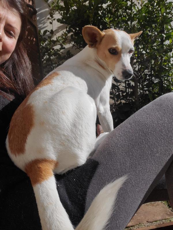 PICCOLA LILLY Foto 5