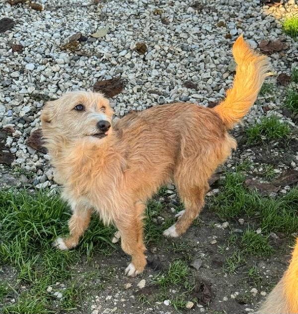 Einstein 2 anni Taglia piccola  Foto 4