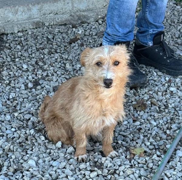 Einstein 2 anni Taglia piccola  Foto 5