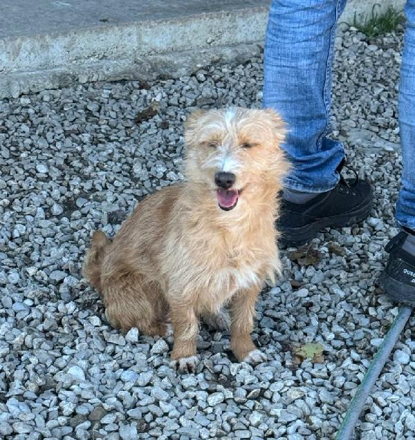 Einstein 2 anni Taglia piccola  Foto 7