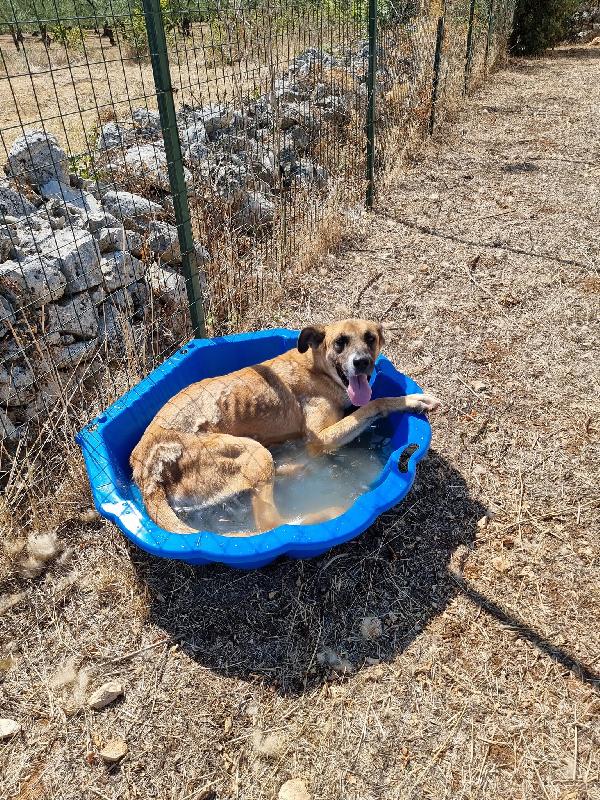 Meravigliosa Pita  Foto 5