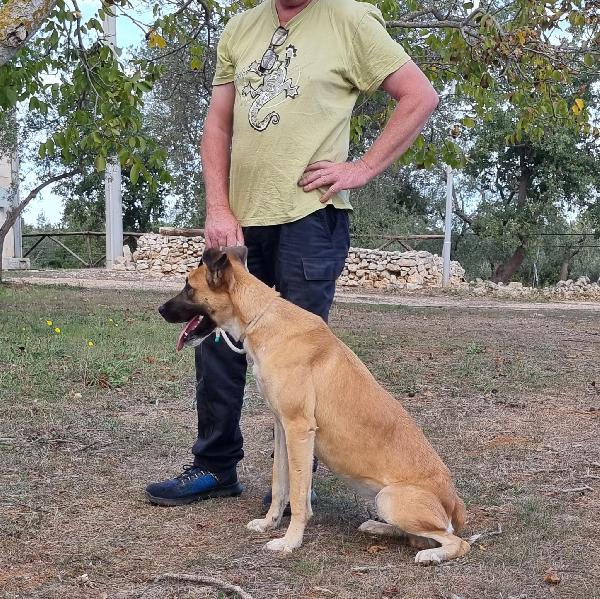 Meravigliosa Pita  Foto 7