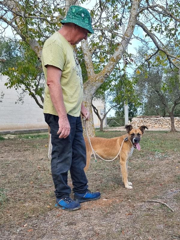 Meravigliosa Pita  Foto 10