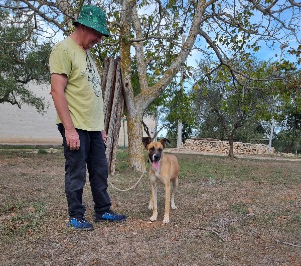 Meravigliosa Pita  Foto 11