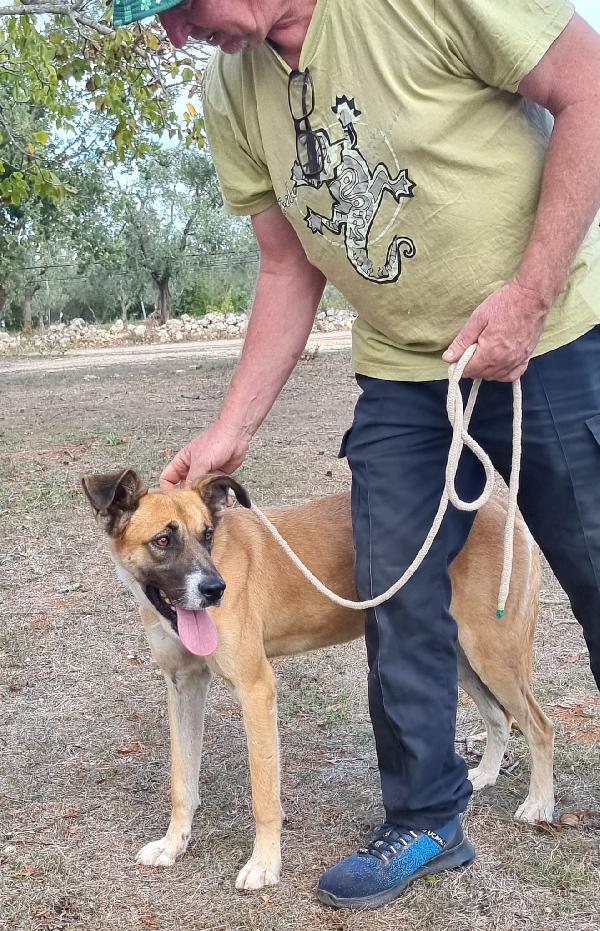 Meravigliosa Pita  Foto 12