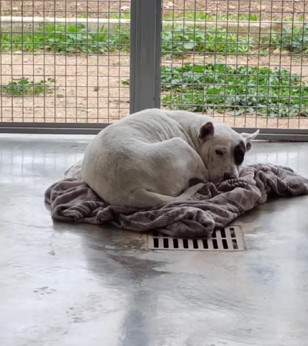 Magda, ci sarà pure qualcuno per te! Foto 8