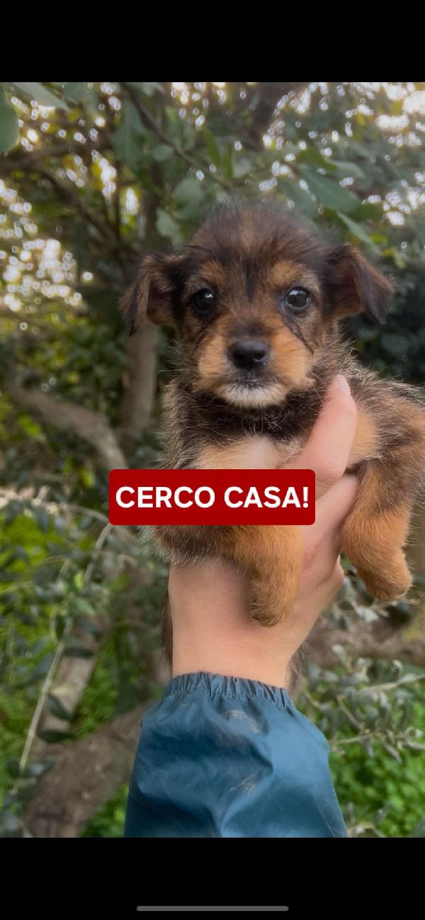 Isa😍😍😍Cerca