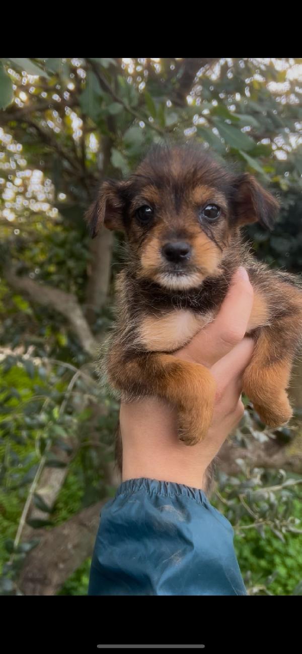 ISA😍😍😍cerca Foto 4