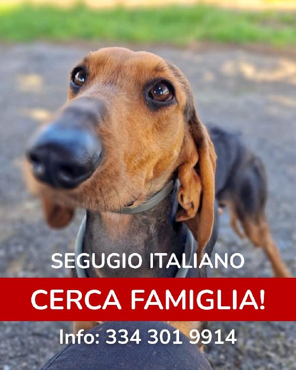 ♥️Bobo♥️ Cerca Casa