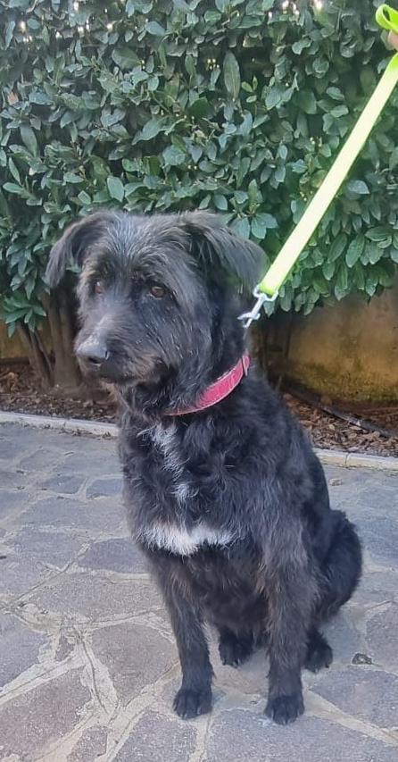 2Fratelli Mix Spinoncini 8Anni Aspettano Da 3Anni 