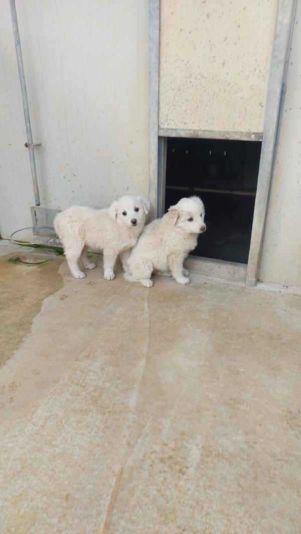 Viola e Lilla Foto 3