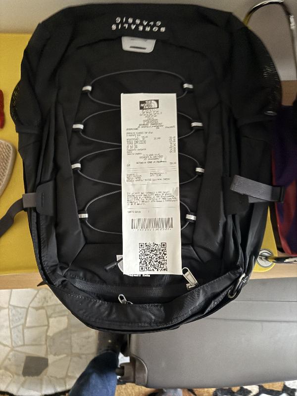 Pia cagnolina affettuosa 15kg 6 anni Foto 3