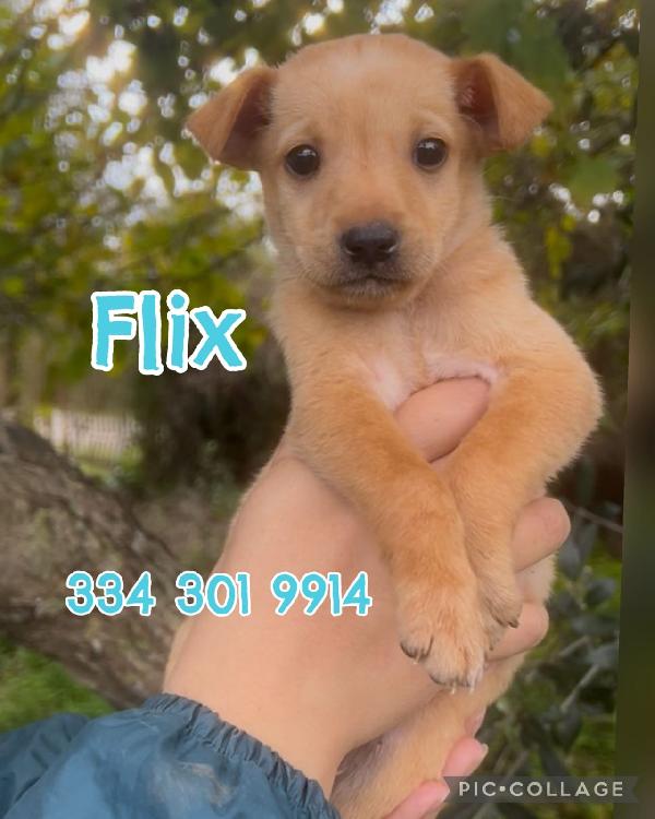 😍Flix😍 Come Resistere Ad Uno Scricciolo Così 🥰🥰🥰
