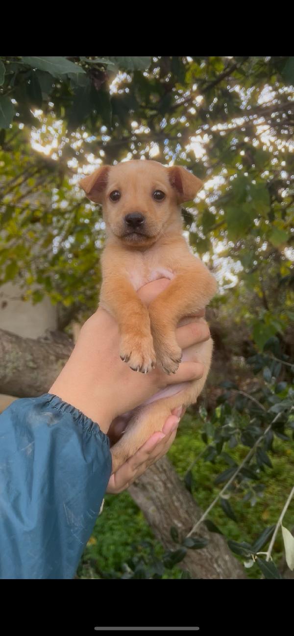 😍FLIX😍 come resistere ad uno scricciolo così 🥰🥰🥰 Foto 3