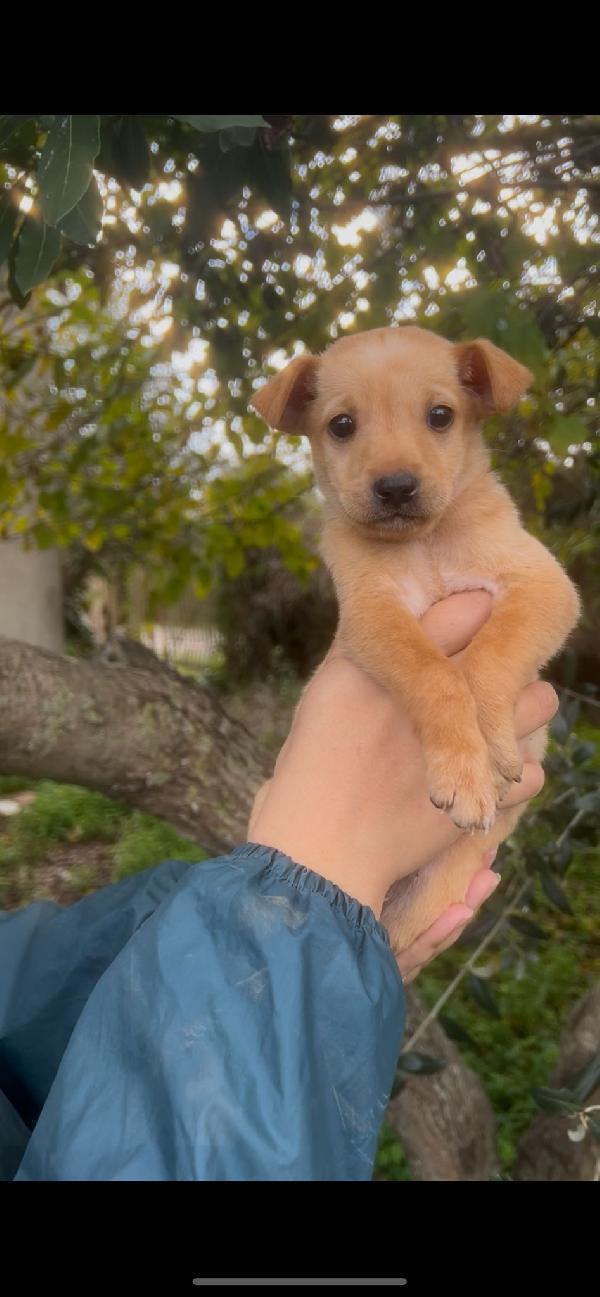 😍FLIX😍 come resistere ad uno scricciolo così 🥰🥰🥰 Foto 4