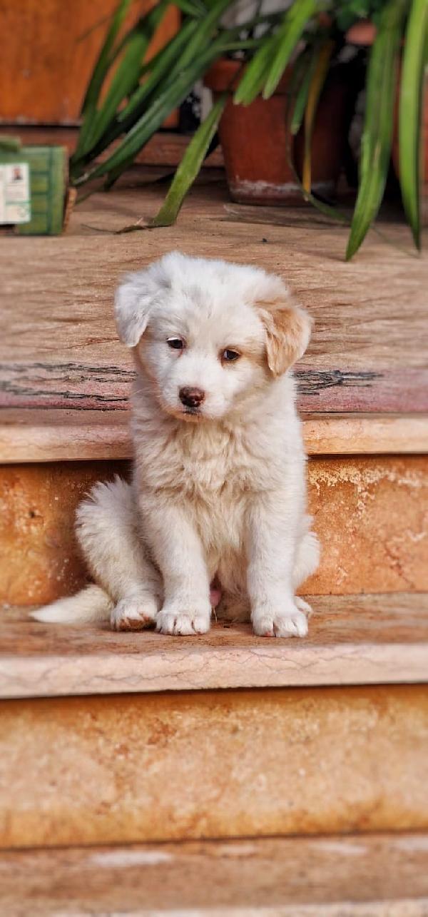 😎RAYAN🥰 splendido amore cerca casa per sempre♥️ Foto 4