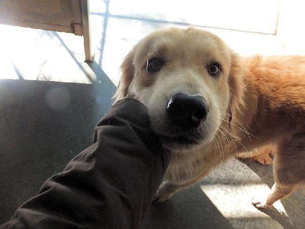 Aurelio Bello, Socievole E Affettuoso