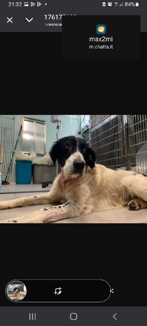 Alfredo 5Anni Nessuno Lo Ha Mai Notato.calabria