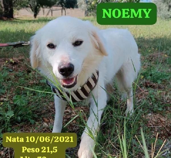 Noemi/ Terence 4anni tg media belli e buoni.CALABRIA Foto 2