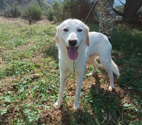 Noemi/ Terence 4anni tg media belli e buoni.CALABRIA Foto 3