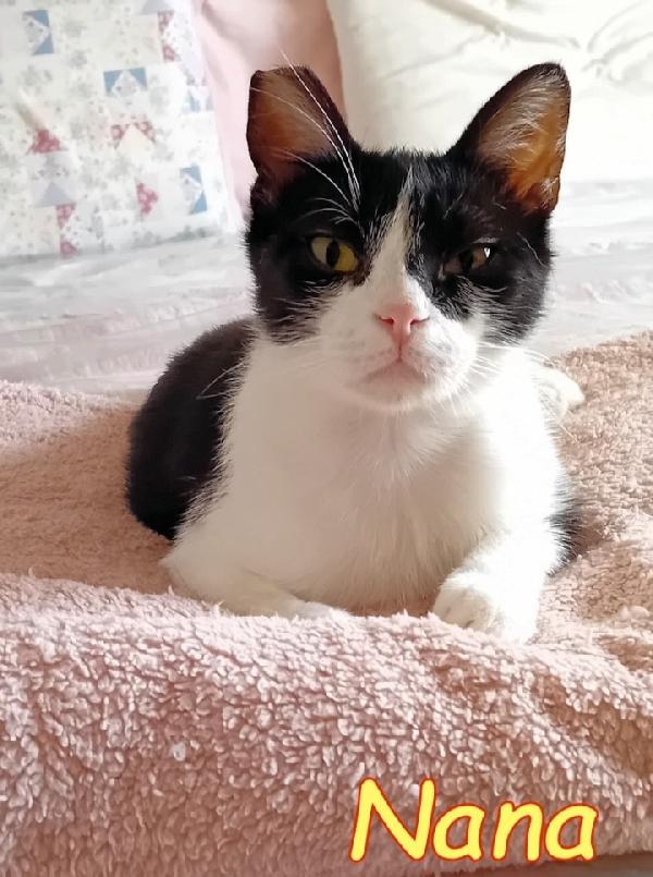 Nana'13mesi sana e dolce ROMA Foto 5