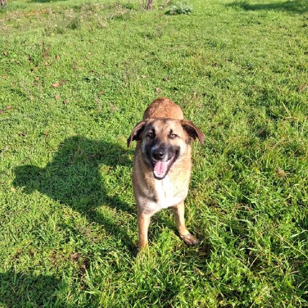 Bea🐕☄️✨ Foto 2