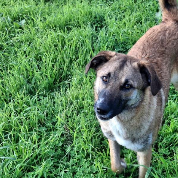 Bea🐕☄️✨ Foto 3