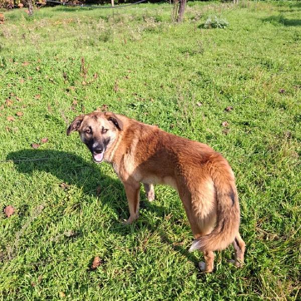 Bea🐕☄️✨ Foto 4