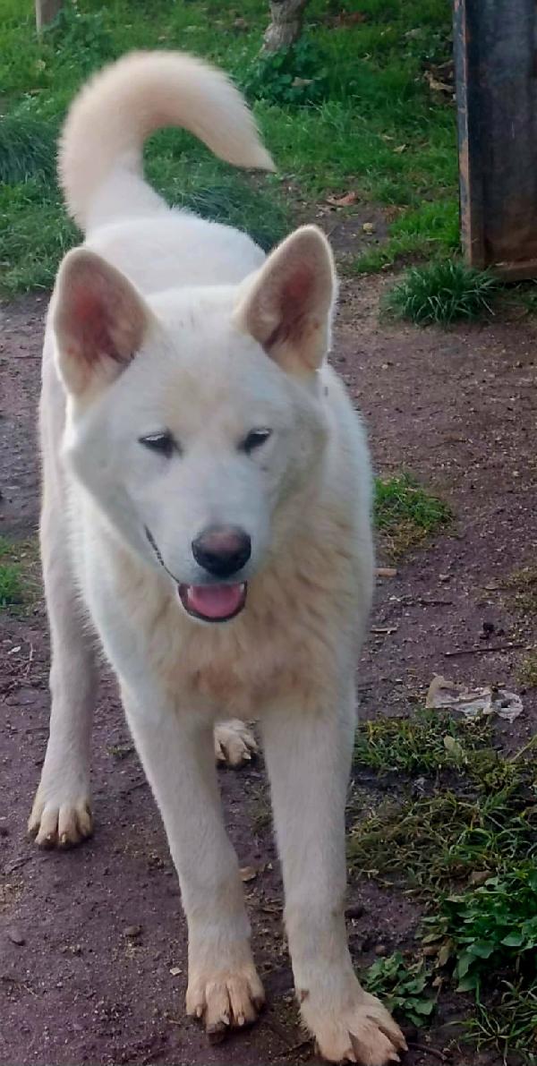 UNA MAMMA PER HIRO Foto 4